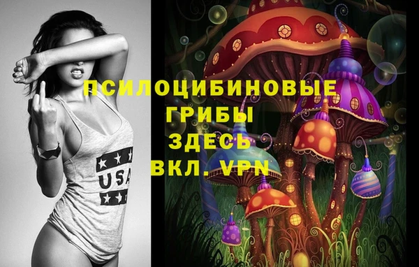 индика Арсеньев