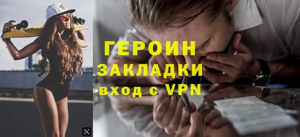 индика Арсеньев