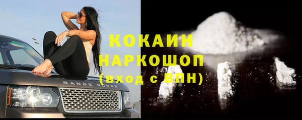 гашик Алзамай