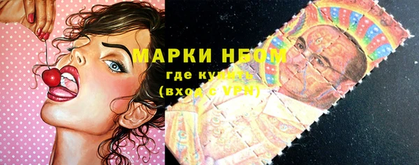 индика Алексеевка