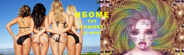 гашик Алзамай