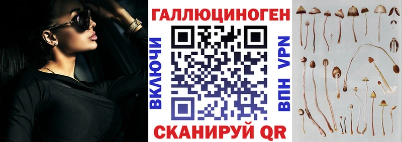 наркота  Фатеж  Галлюциногенные грибы GOLDEN TEACHER 